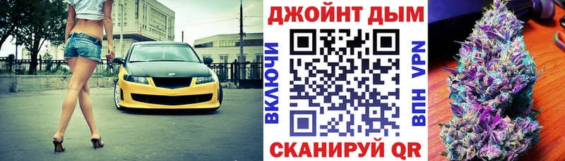 Каннабис сатива  Каневская 